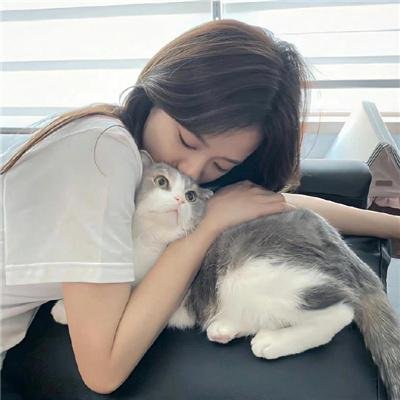 雪夫人绘图